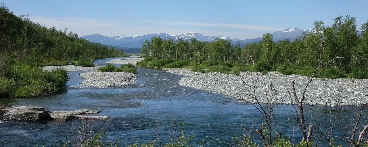 Abiskojåkka med björkskog och fjäll i sommarljus